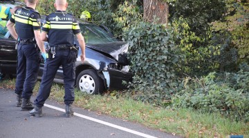 auto tegen boom