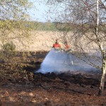 Brand Budel-dorpplein heide brand