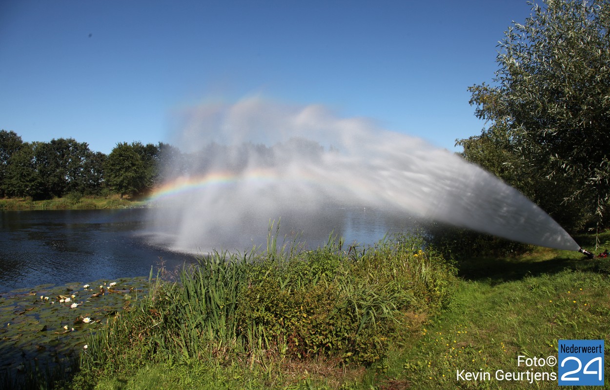 Dode Vissen In Vijver Meijel Video Foto S Nederweert24