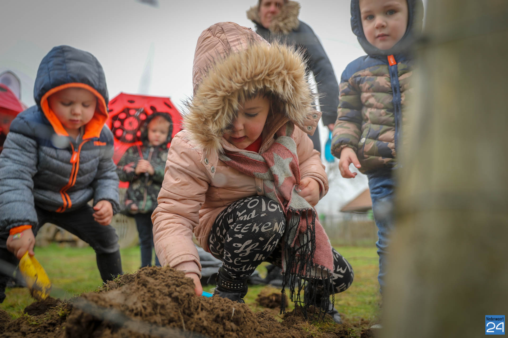 Hubert plant boom bij Kindercentrum Hummelhoeve Nederweert ...