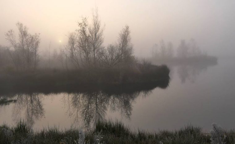 Mistige ochtend in De Groote Peel | Marijke Vaes-Schroën