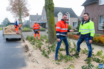 duurzame onkruidbestrijder