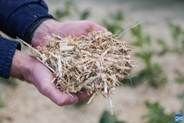 duurzame onkruidbestrijder