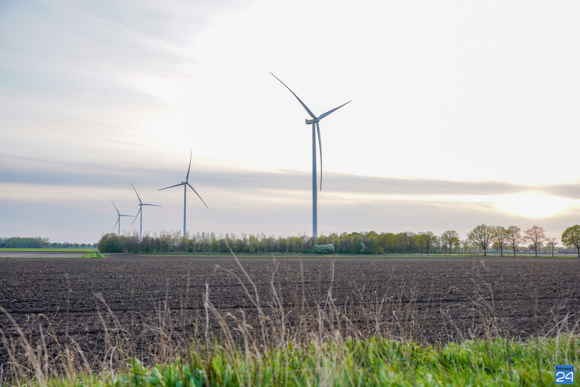 Windmolens in Ospeldijk mogen blijven staan van de rechter