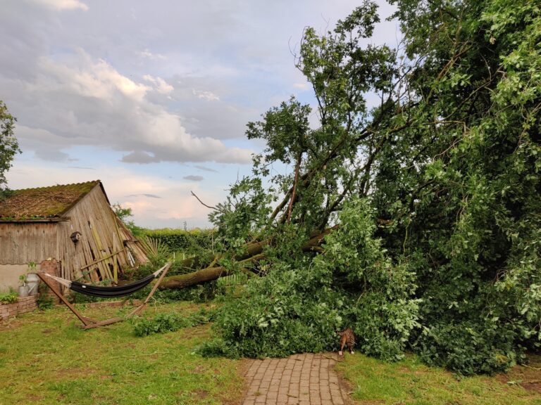 Iets toevoegen of eraf halen? Nederweert24