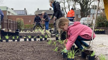 Samen groots, samen groen!