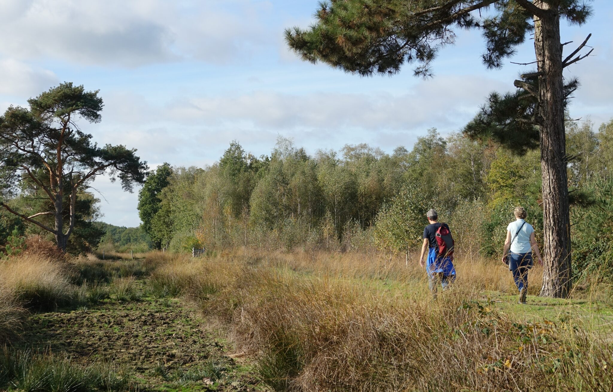 Wandel in het spoor van de turfsteker - Nederweert24