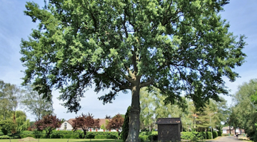 Voorjaarsfietstocht Stichting Groen Weert e.o.