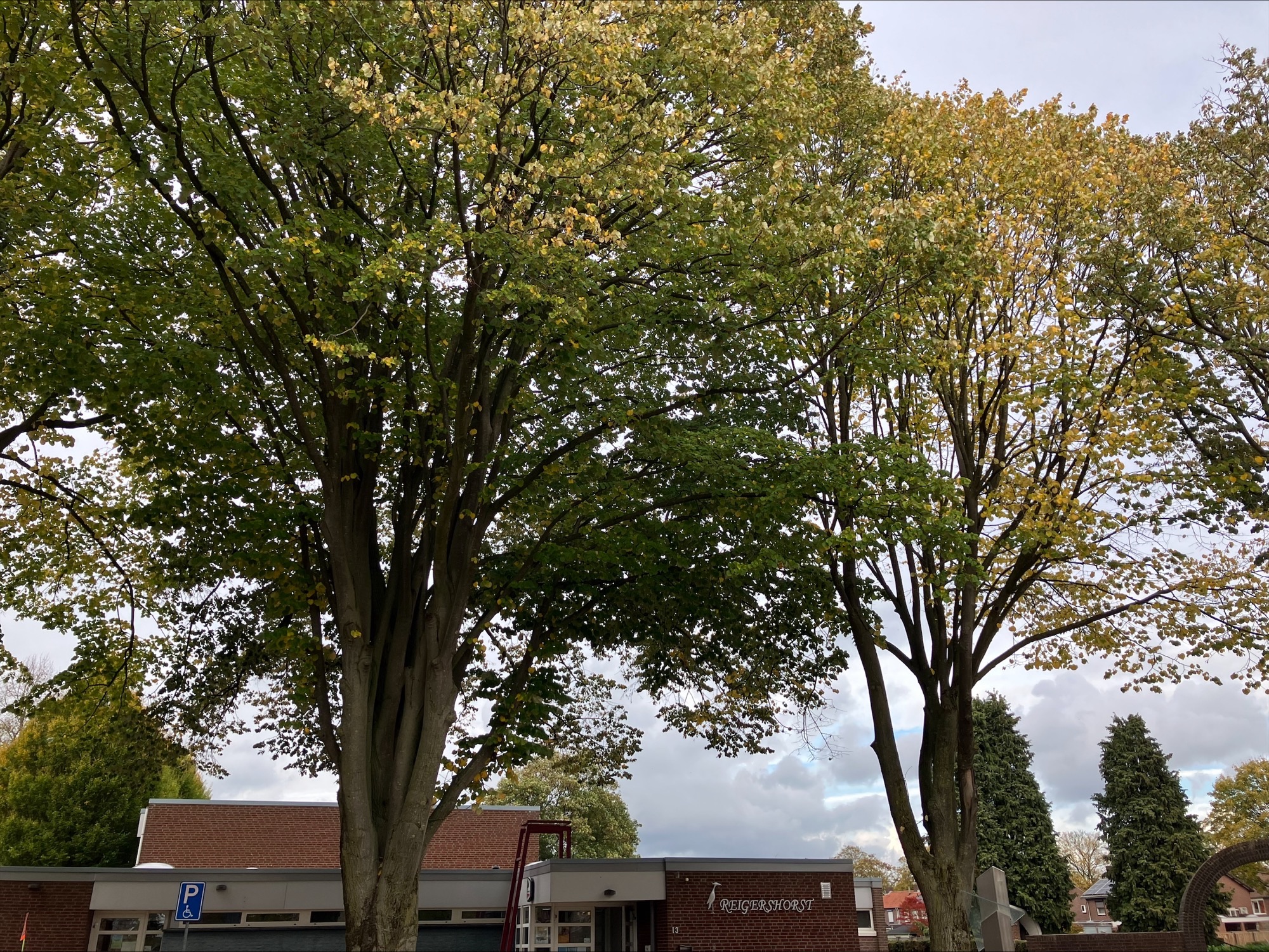 Kom naar de officiële opening van de Prinselikke Boumroute