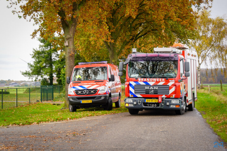 Koe vast in mestput aan Vlakwater in Leveroy