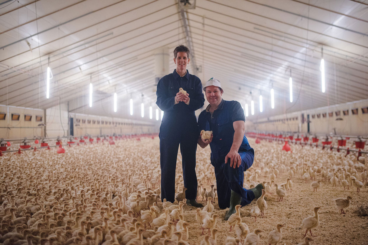 Win een heerlijke maaltijdbox met een recept voor schorseneren