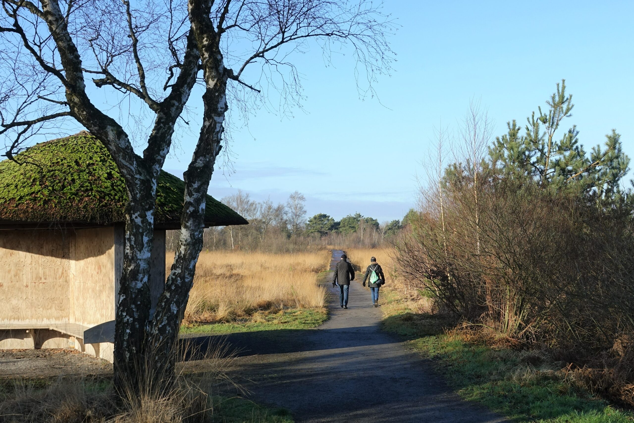 Peeltocht met soep in Nationaal Park De Groote Peel