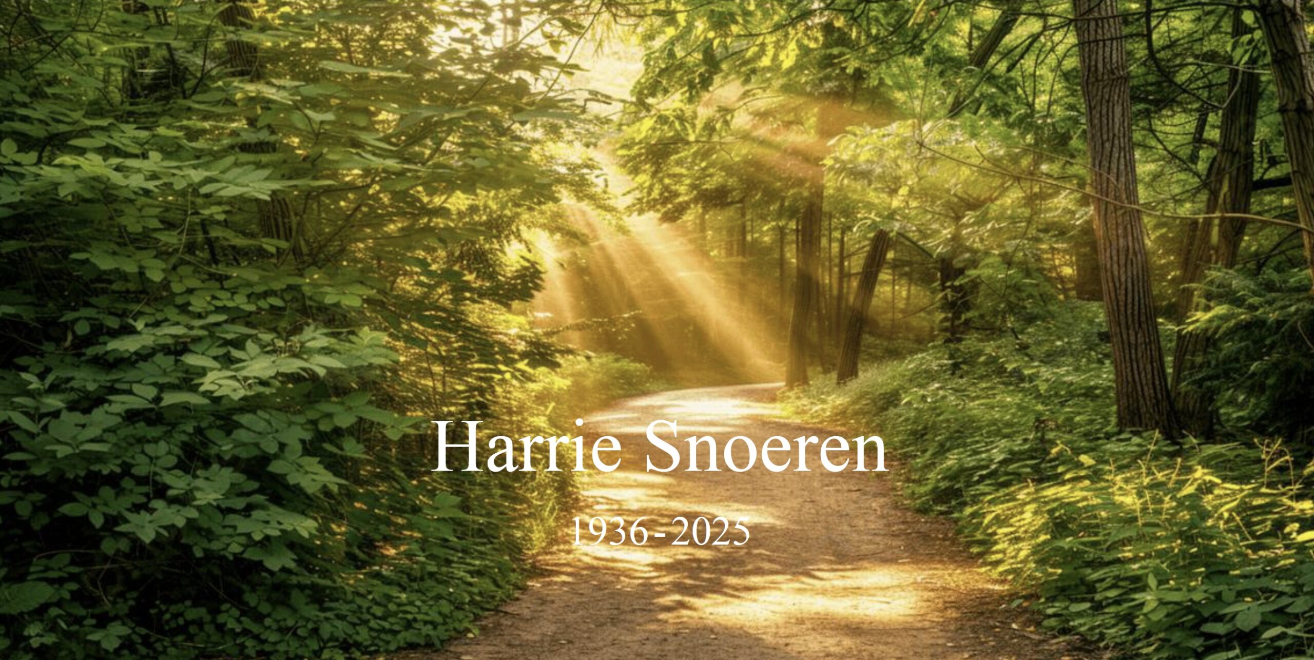 Overlijdensbericht | Harrie Snoeren †