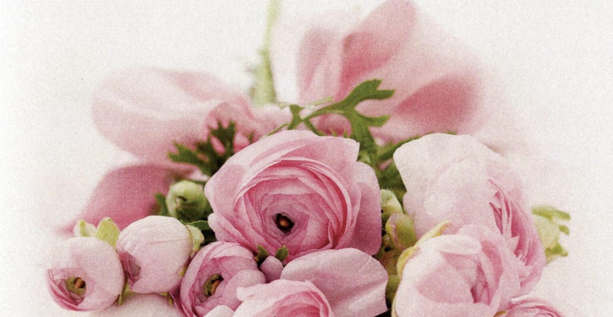 Overlijdensbericht | Marleen Wijen – Piepers †