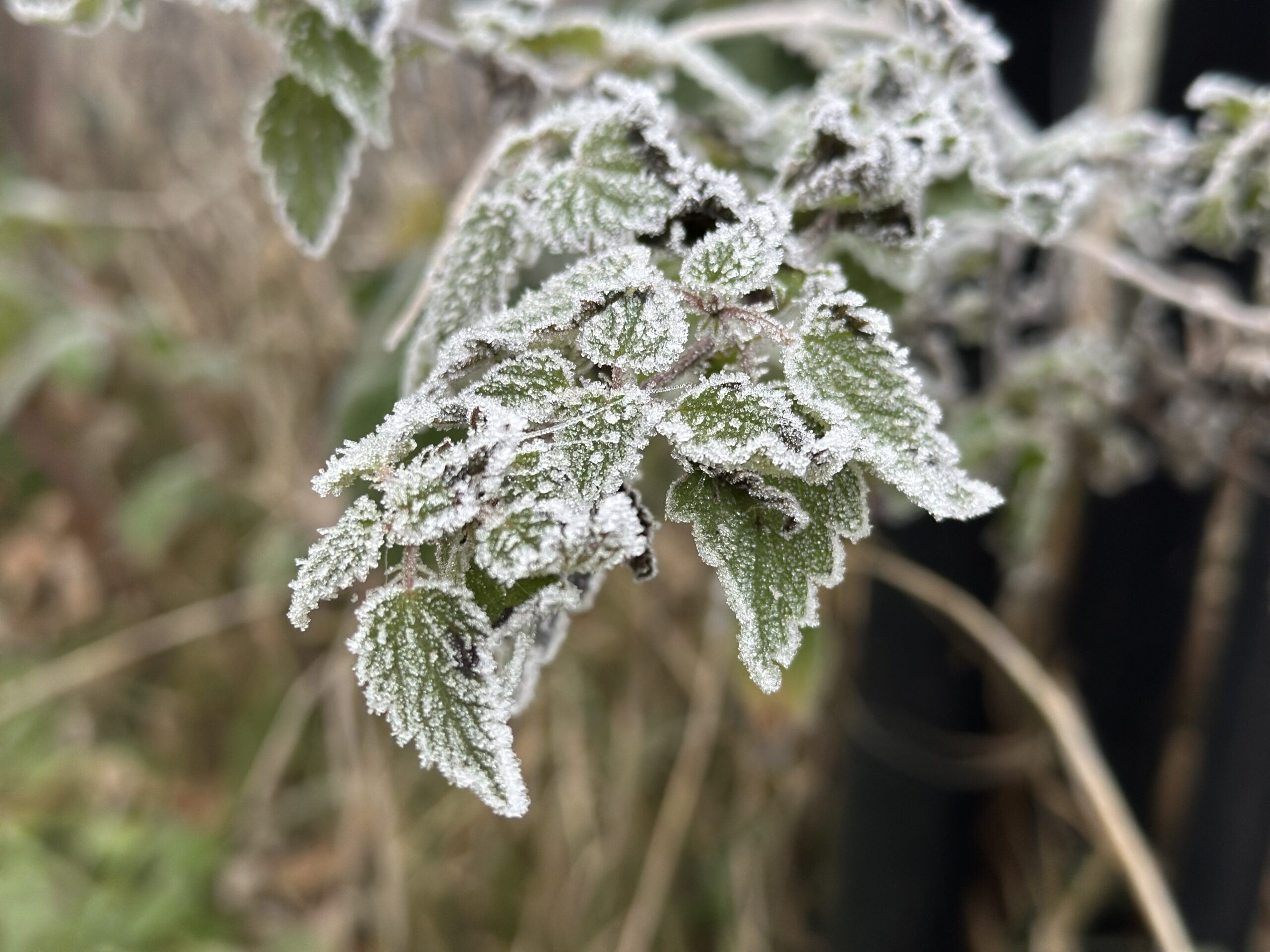 Is jouw foto dé foto van de maand bij Nederweert24?