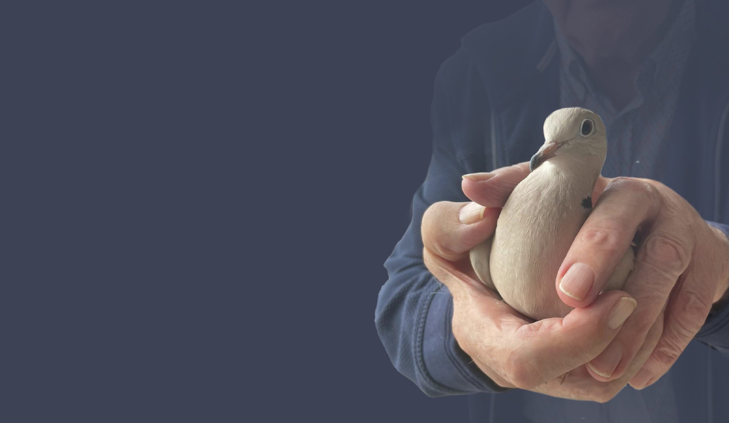 Overlijdensbericht | Jan Bartels †