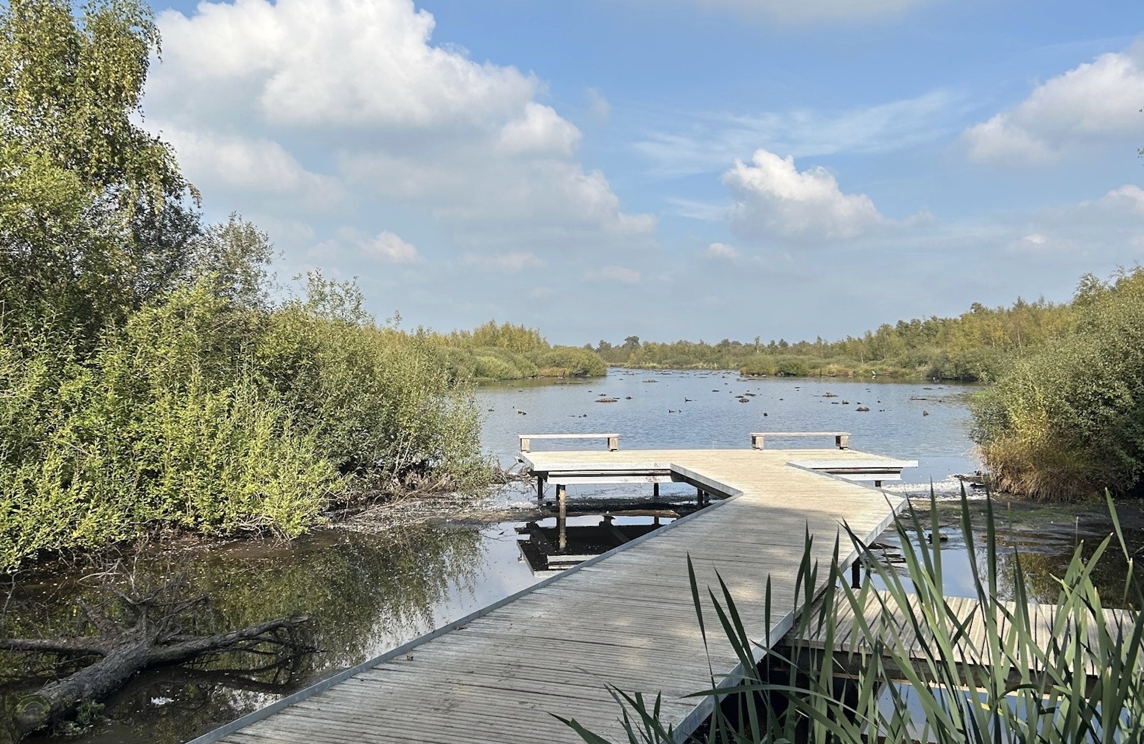 Sprakeloze beleving in het Nationaal Park De Groote Peel