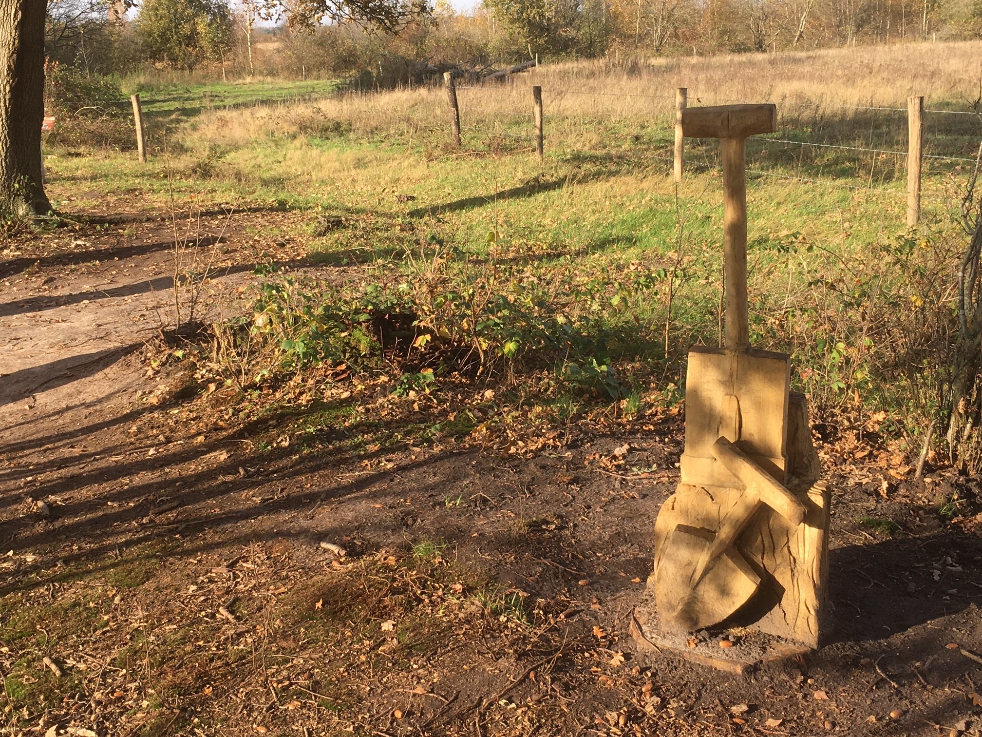 Peeltocht in Nationaal Park De Groote Peel