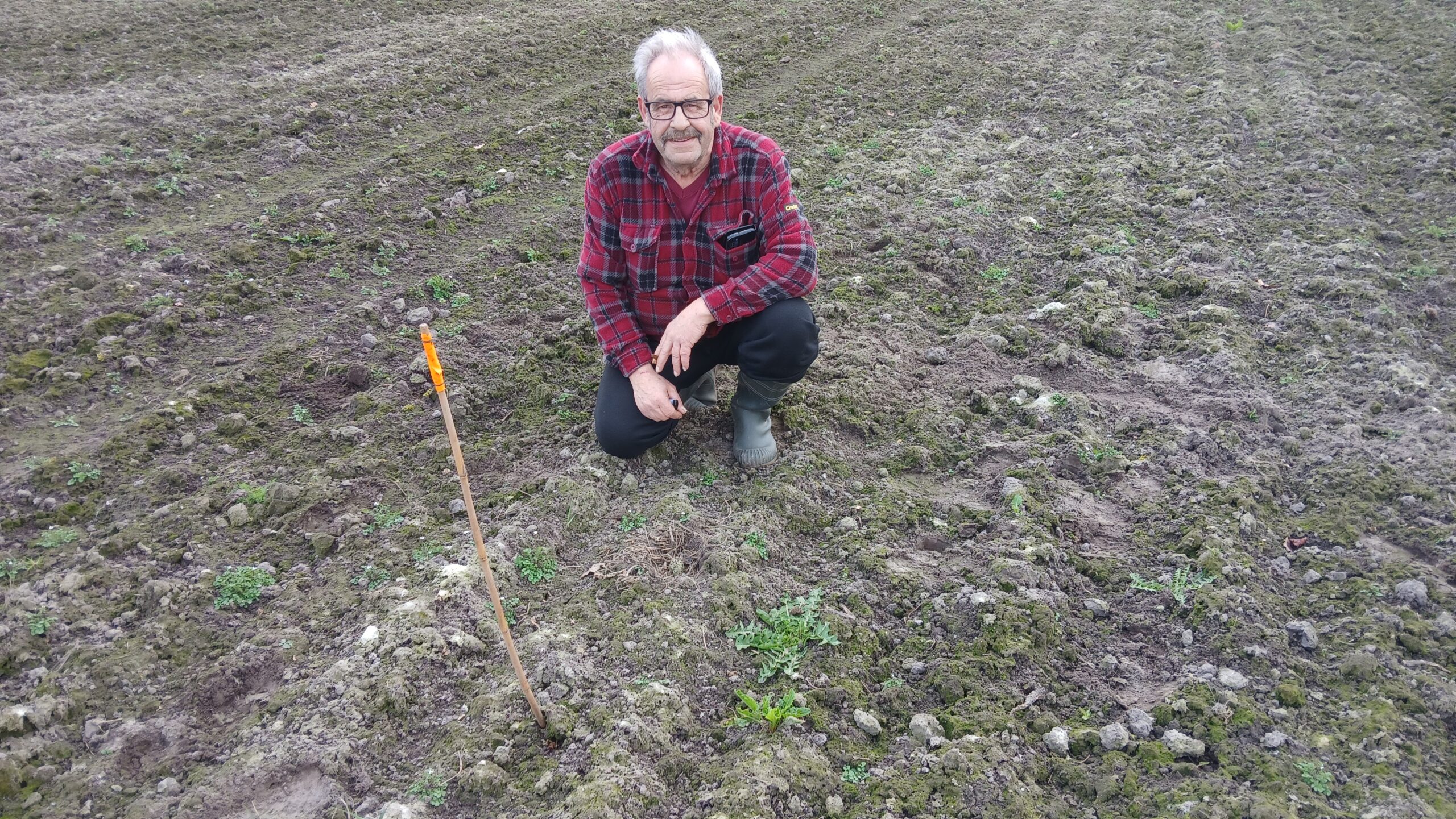 Eerste Limburgse kievitsei gevonden in Nederweert