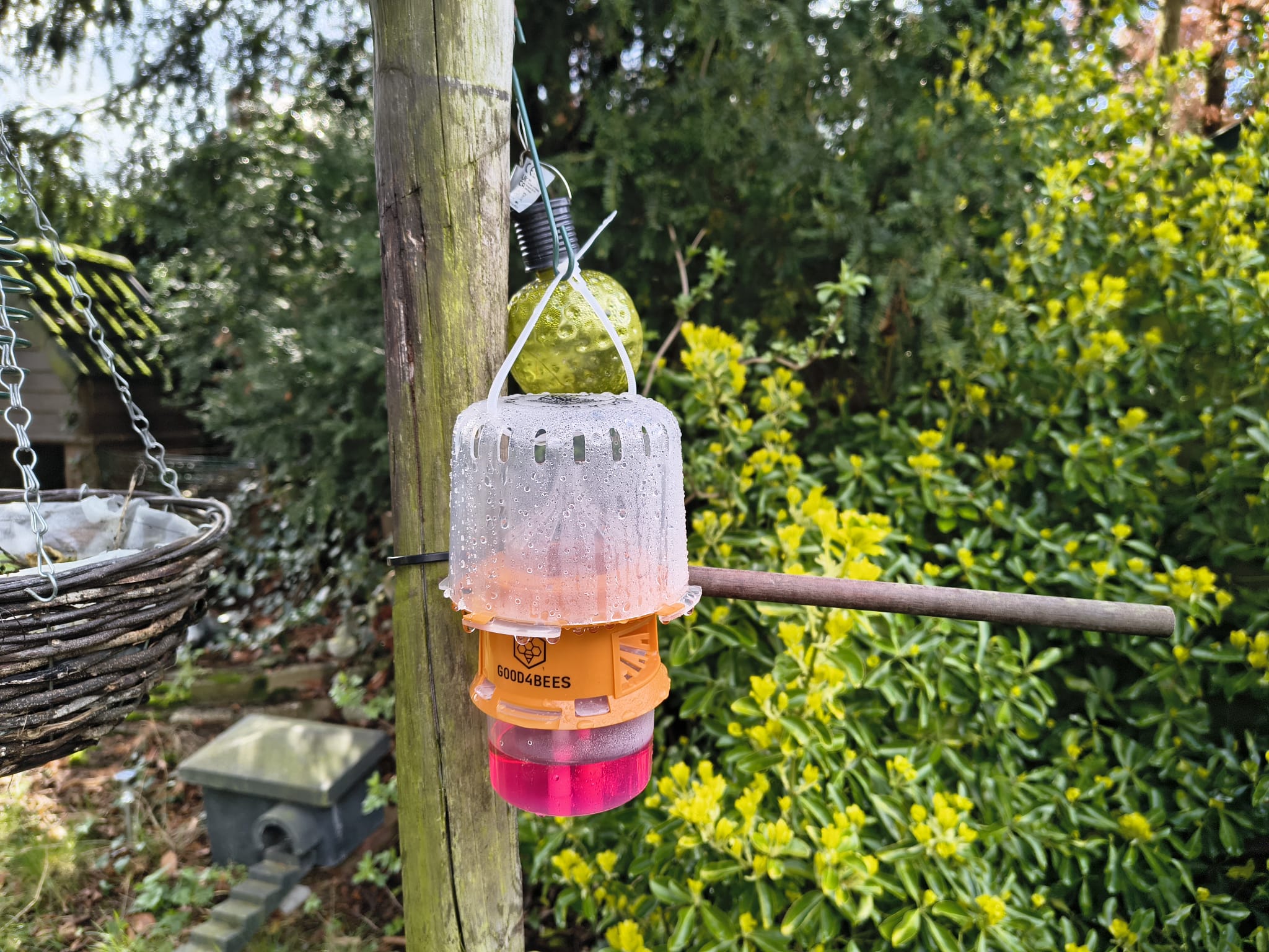 Hulp wijkbewoners bij bestrijding hoornaars op Leuken
