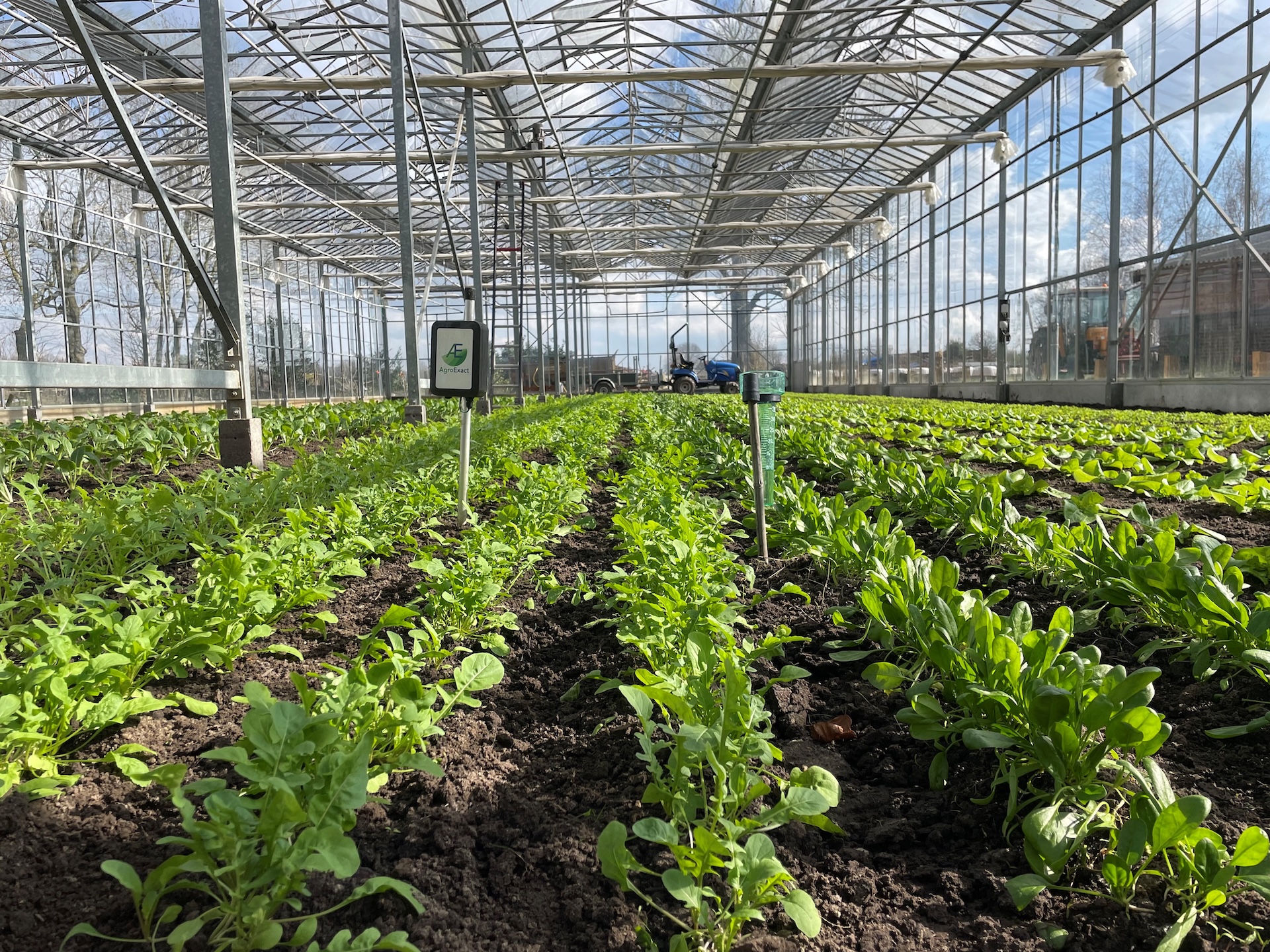 ‘Bezoek Onze Kas Dag’ Herenboeren Land van Weert