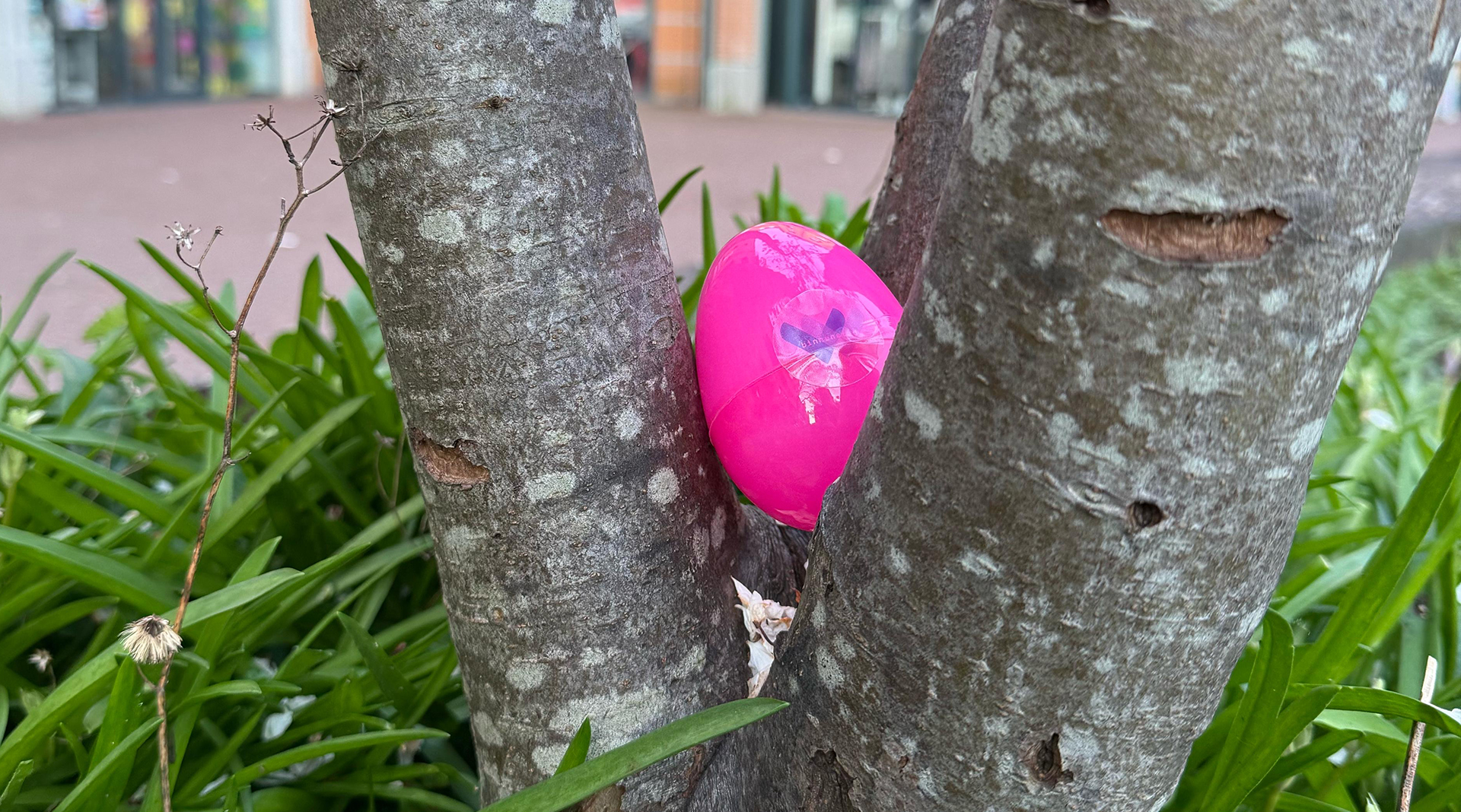 Meer dan 150 paaseieren verstopt in Weert: de zoektocht is begonnen!