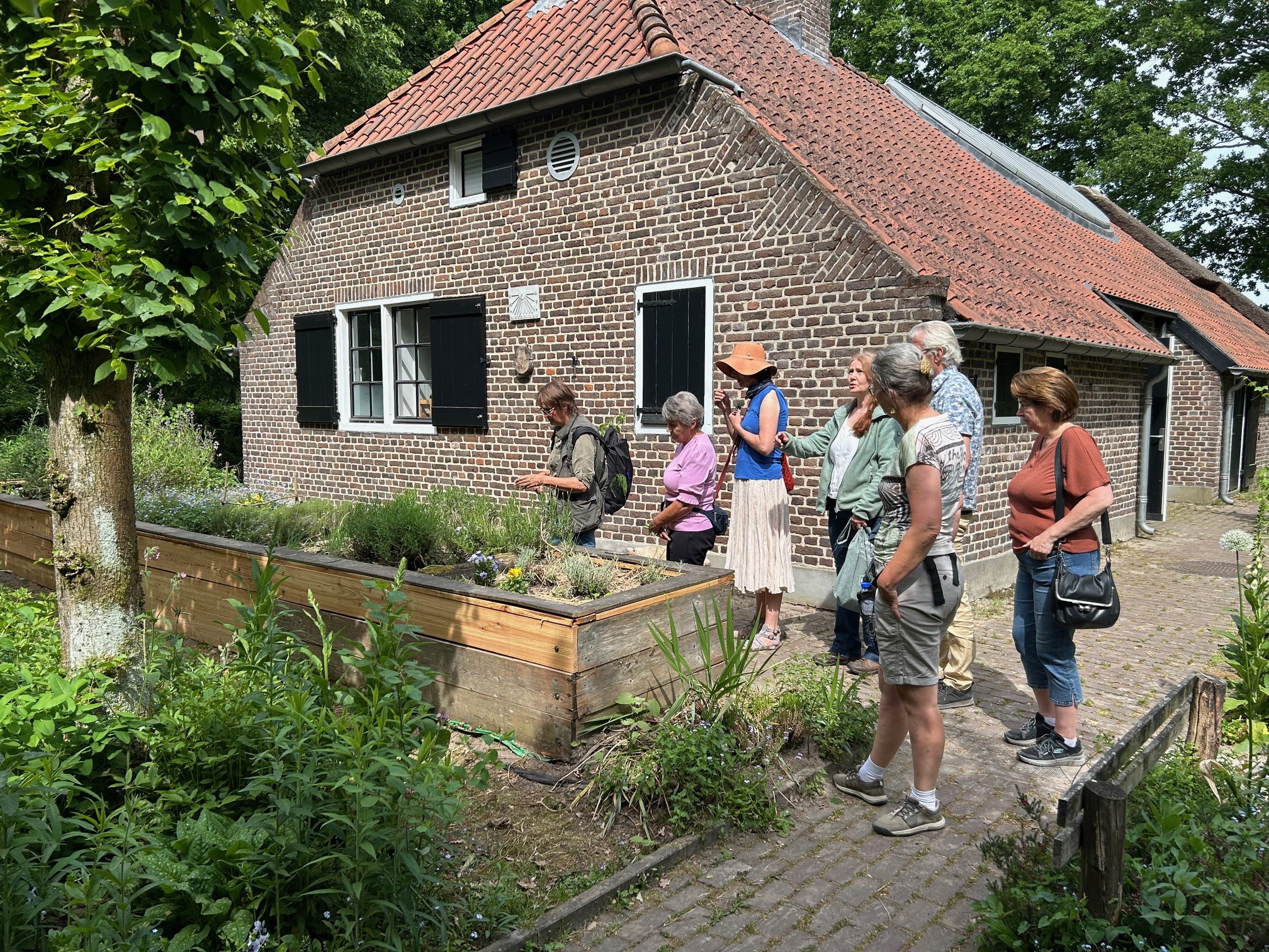 Maak kennis met de flora van De Groote Peel