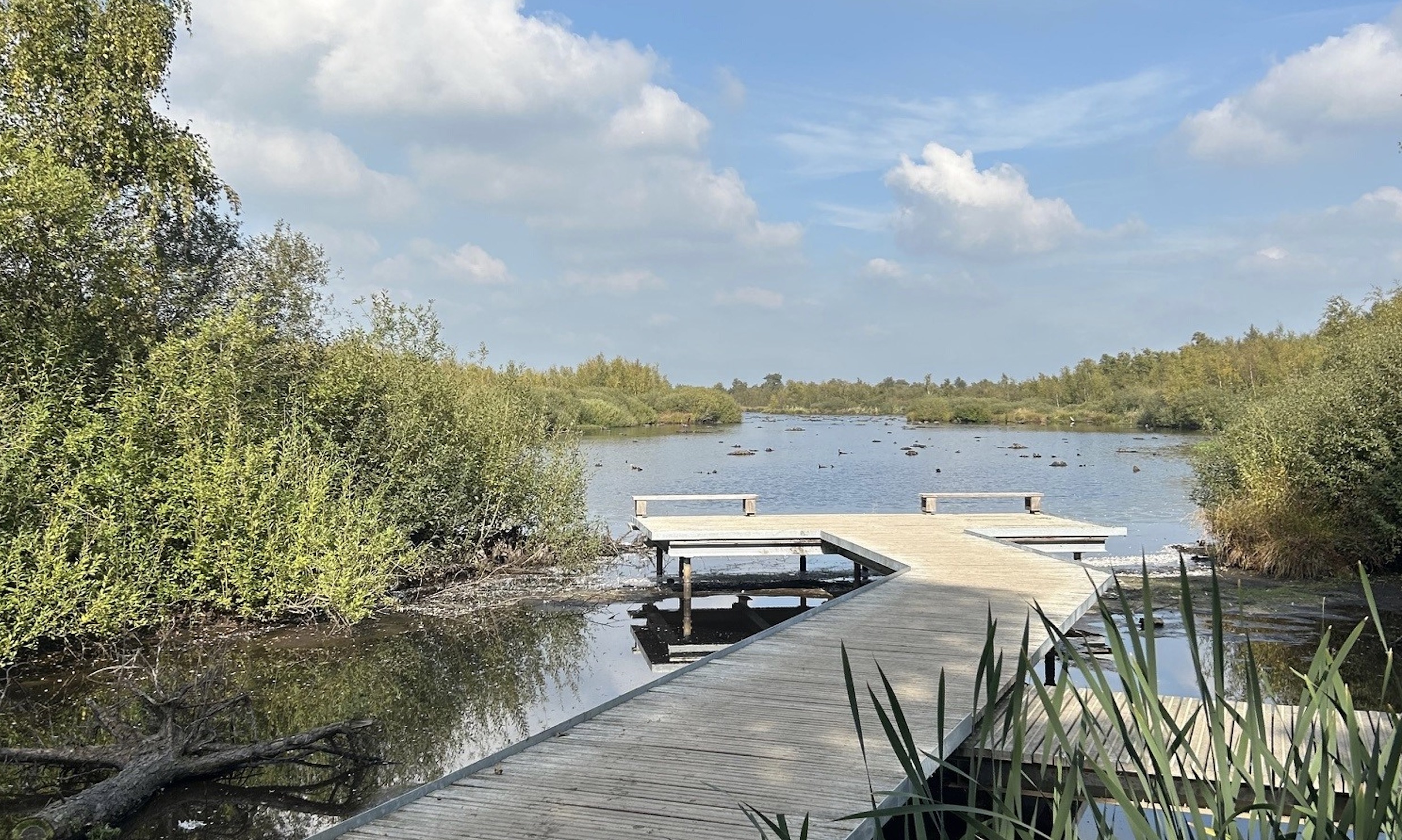 Activiteitenprogramma Peelpodium mei 2026