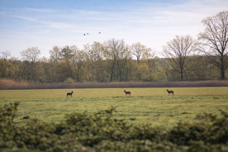 Is jouw foto dé foto van de maand bij Nederweert24?