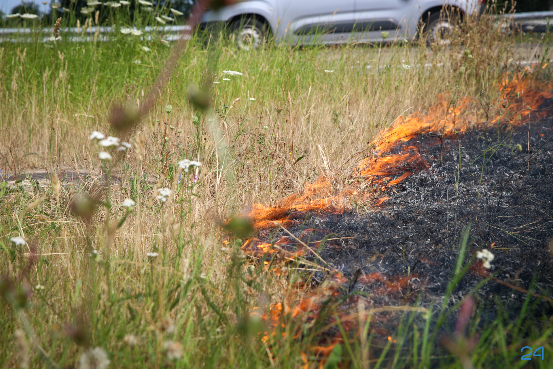 Bermbrand langs Rijksweg Noord bij Nederweert