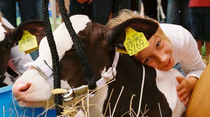 009-Jongveekeuringkeuring-2008