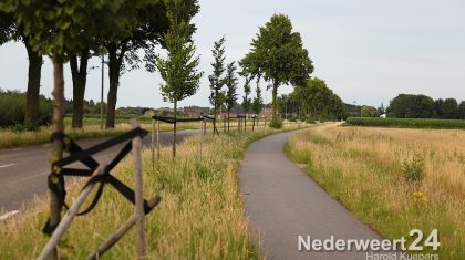 Schade door vernieling jonge aanplant aan de Ospelseweg Nederweert