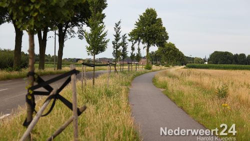 Schade door vernieling jonge aanplant aan de Ospelseweg Nederweert