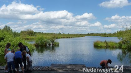 Was het Streekfestival vooral voor senioren, de rest van het programma van de Peelweek was vooral voor gezinnen met kinderen. Op maandag waren er Ontdektochten over waterdieren en kriebelbeestjes.