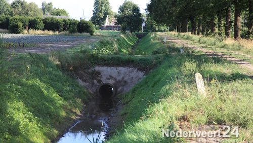 Deze week start Waterschap Peel en Maasvallei samen met de gemeente Nederweert met de aanleg van een regenwaterbuffer bij de Buseweg in Ospel.