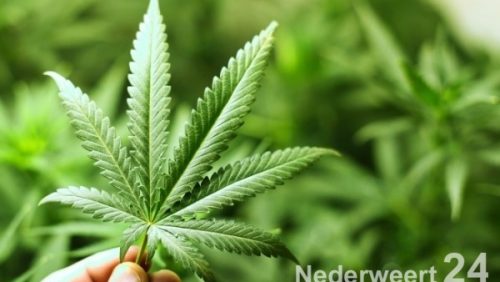 2013-08-26-Hennep-634