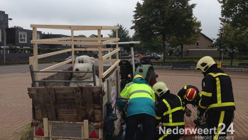 2013-10-05-Brandweer-competitiedag-district-Weert-uitslag-1433