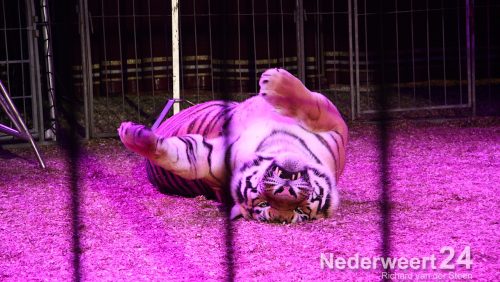 Circus Belly Wien in Nederweert