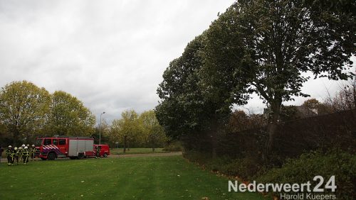 Boom dreigt op schuurtje te vallen Tromplaan Weert