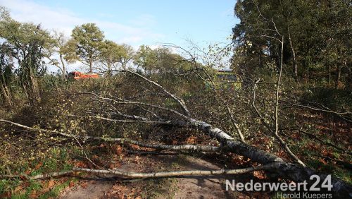 Boom over de weg langs Noordervaart Nederweert
