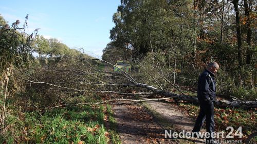 Boom over de weg langs Noordervaart Nederweert