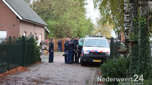 Woensdagmorgen heeft de politie aan de Horickheide in Ospel een hennepkwekerij ontmanteld. In samenwerking met Enexis is deze actie uitgevoerd. De politie heeft inmiddels laten weten dat het om 1000 planten gaat.