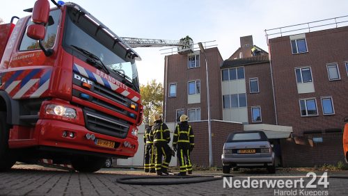 Dakbrand Groenling Weert