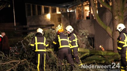 Donderdagavond is er op de Alexanderstraat in Budschop een boom om gewaaid als gevolg van de storm die over ons land raast.