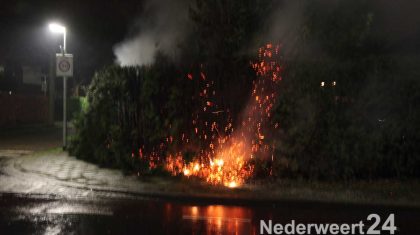 Coniferenhaag in brand aan de Burcht op Boshoven in Weert