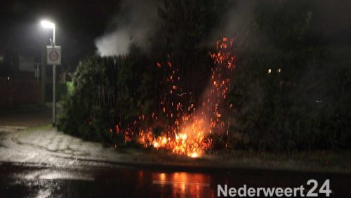 Coniferenhaag in brand aan de Burcht op Boshoven in Weert