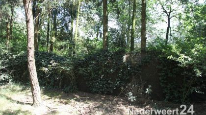 Brand zwartbroek Breijbaan stoken snoeiafval met bank