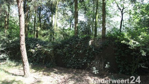 Brand zwartbroek Breijbaan stoken snoeiafval met bank