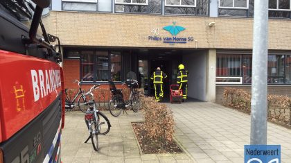 2015-03-27-brand-Philips-van-Horne