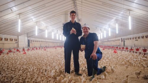 2017_01_16_BoerenvanNederweeert_vanderPutten-10